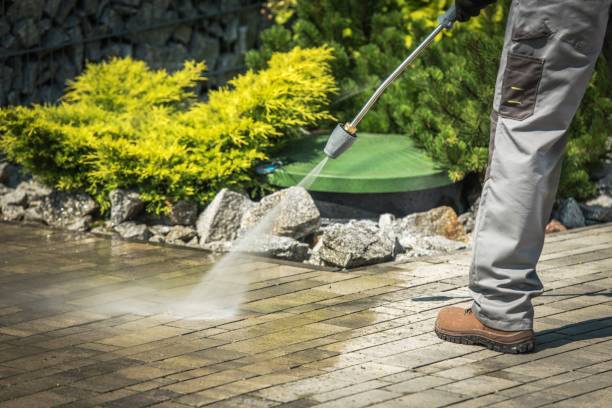 Best Fence Cleaning  in Saginaw, TX